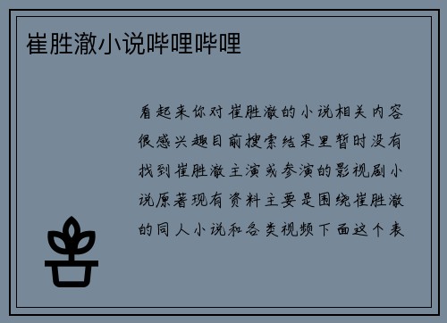 崔胜澈小说哔哩哔哩